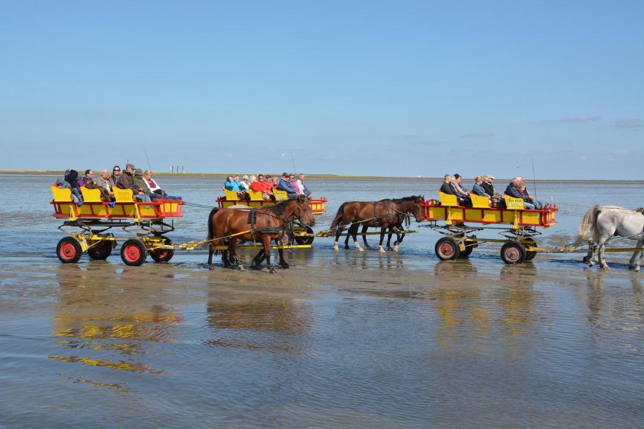 쿡스하펜 Luettje Huus Frieda Mit Strandkorb Am Strand Von Mai Bis September 아파트 외부 사진